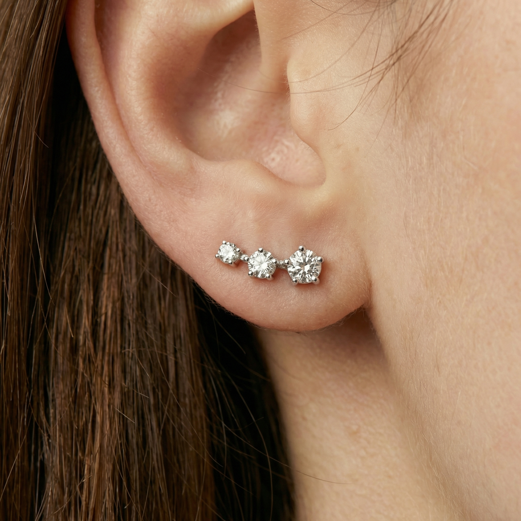 Roses Earrings Silver